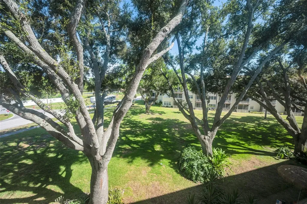 5725 80th Street N St Petersburg FL 33709