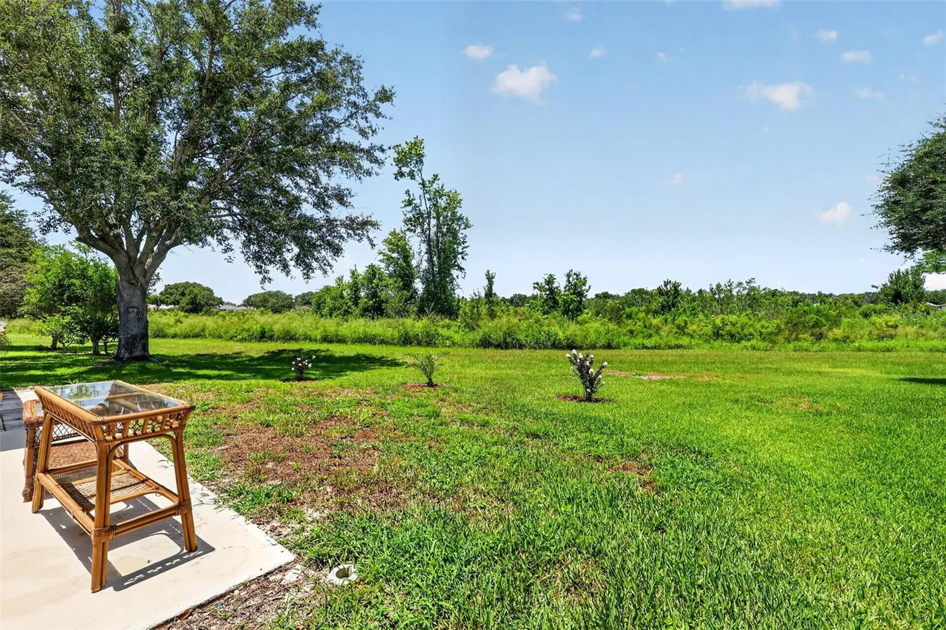 21725 King Richards Way Leesburg FL 34748