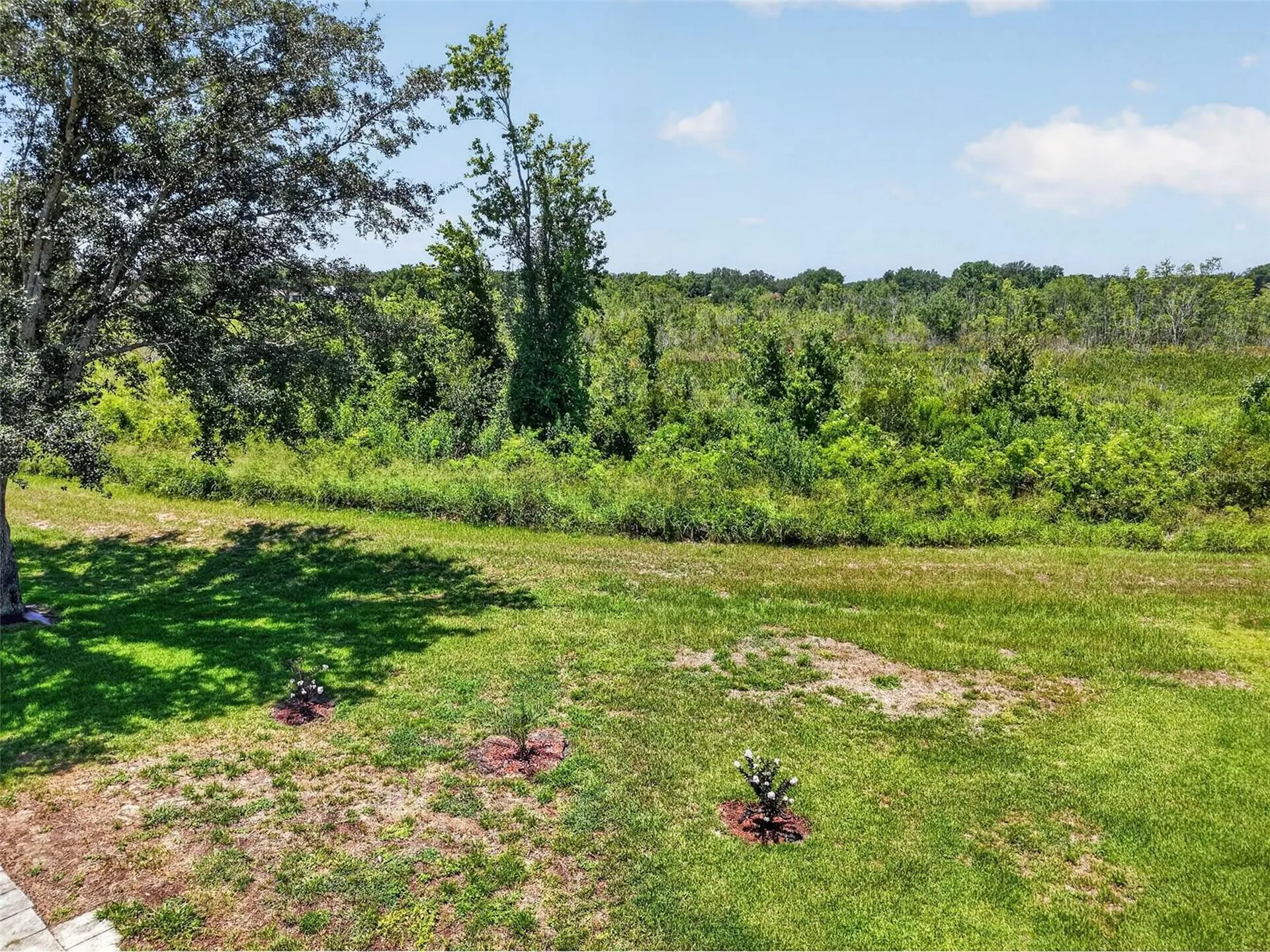 21725 King Richards Way Leesburg FL 34748