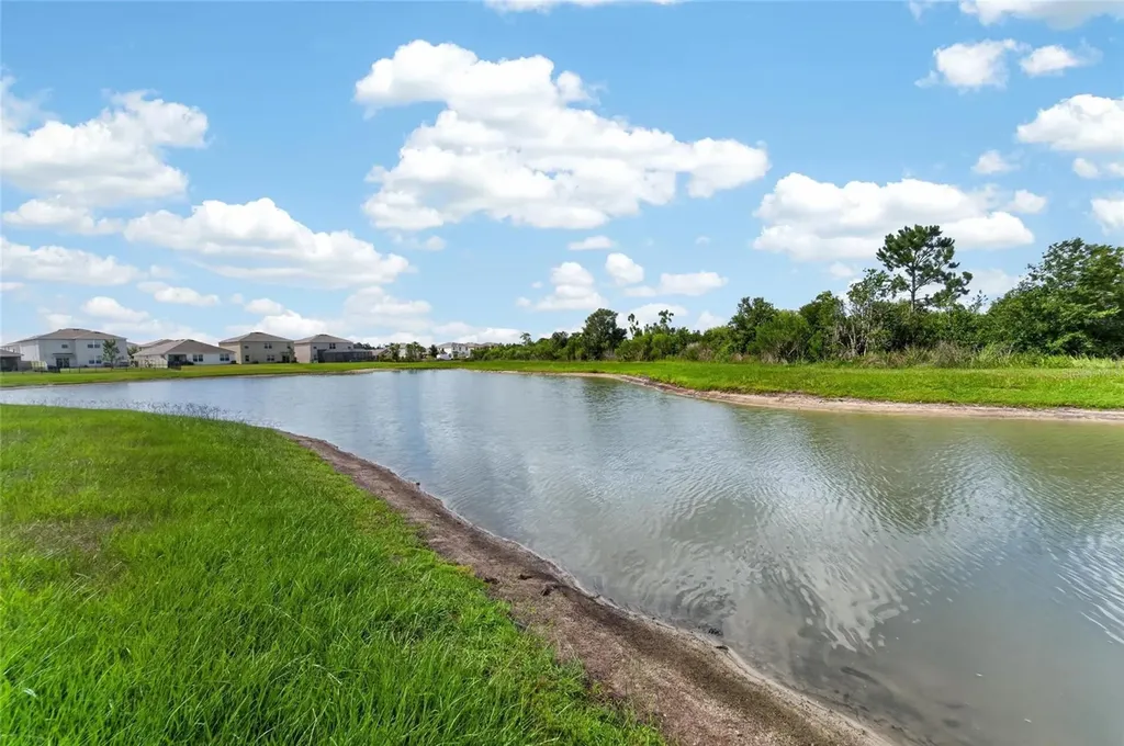 33046 Major Oak Drive Wesley Chapel FL 33545