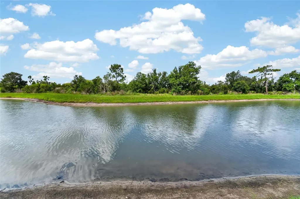 33046 Major Oak Drive Wesley Chapel FL 33545