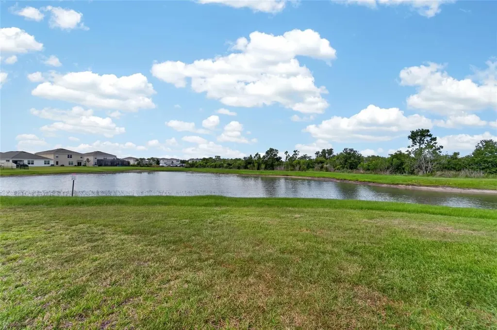 33046 Major Oak Drive Wesley Chapel FL 33545