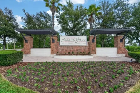 33046 Major Oak Drive Wesley Chapel FL 33545