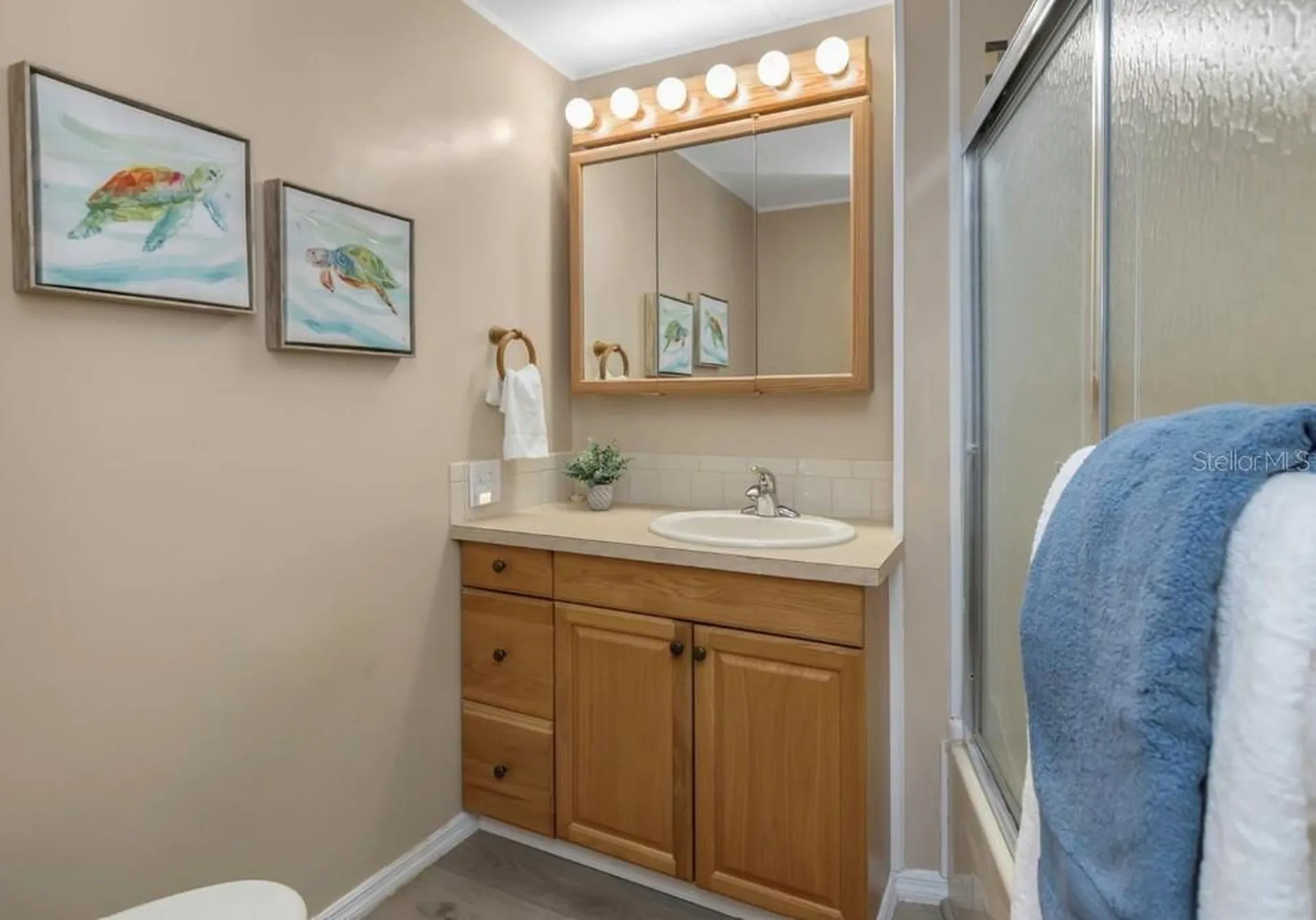 198 Philadelphia Boulevard Palm Harbor FL 34684