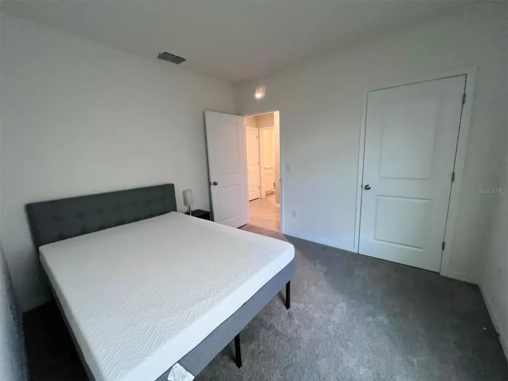5563 Birch River Wesley Chapel FL 33545