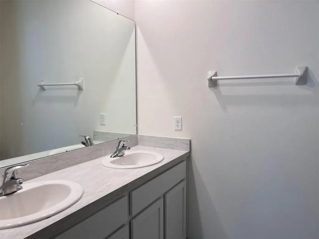 5563 Birch River Wesley Chapel FL 33545