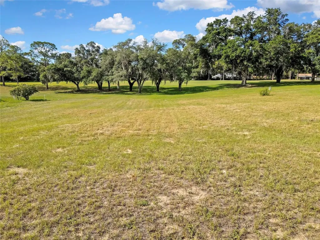 368 E Falconry Court Hernando FL 34442