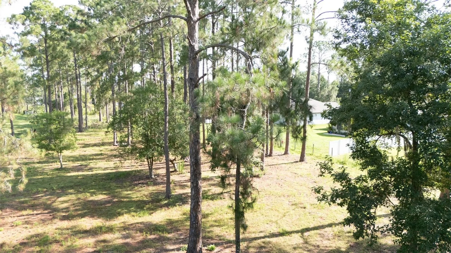 No Street Deland FL 32720