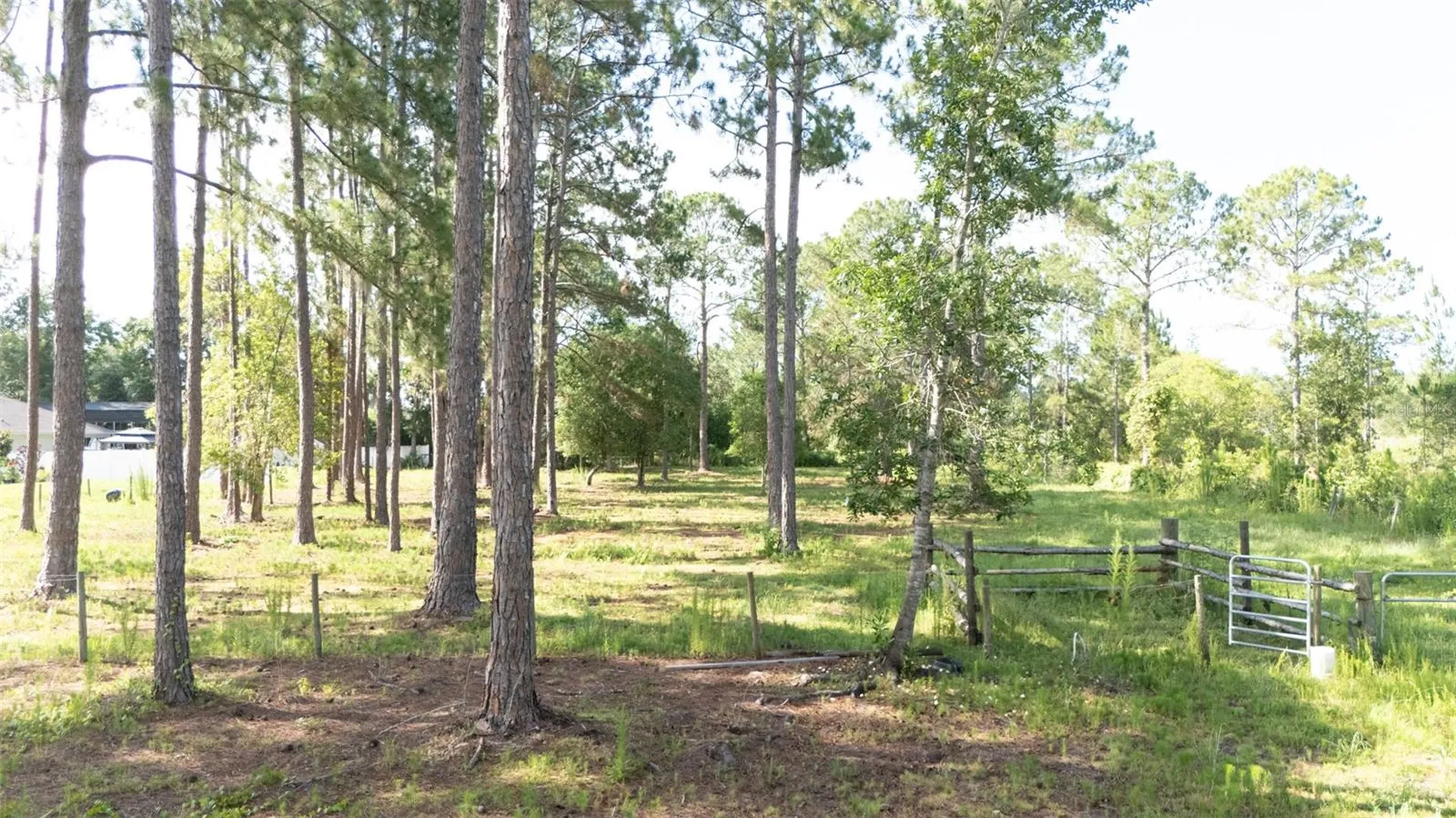 No Street Deland FL 32720