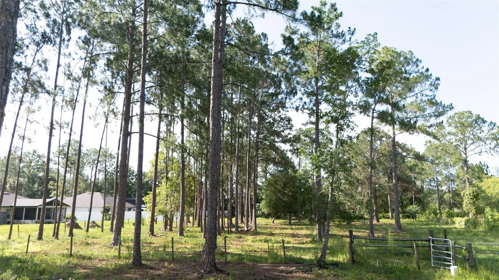 No Street Deland FL 32720