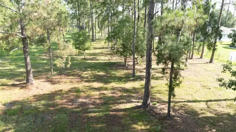 No Street Deland FL 32720