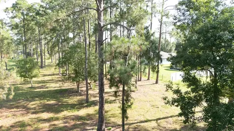 No Street Deland FL 32720