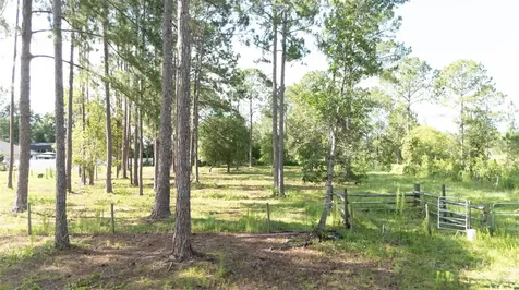 No Street Deland FL 32720