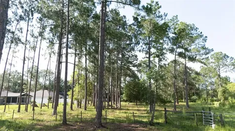 No Street Deland FL 32720