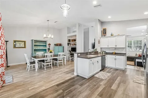 11318 Bridge Pine Drive Riverview FL 33569