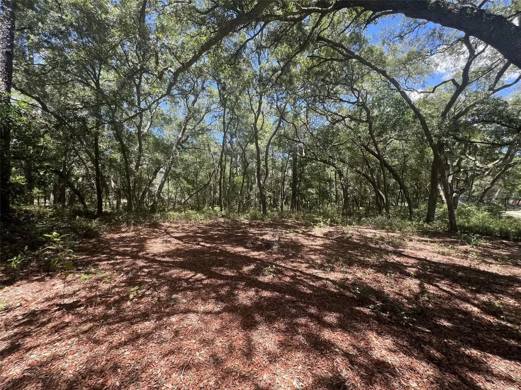 1425 Renbar Road De Leon Springs FL 32130