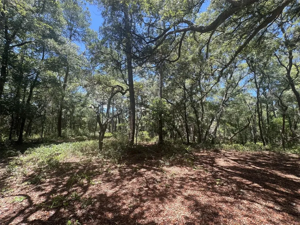 1425 Renbar Road De Leon Springs FL 32130