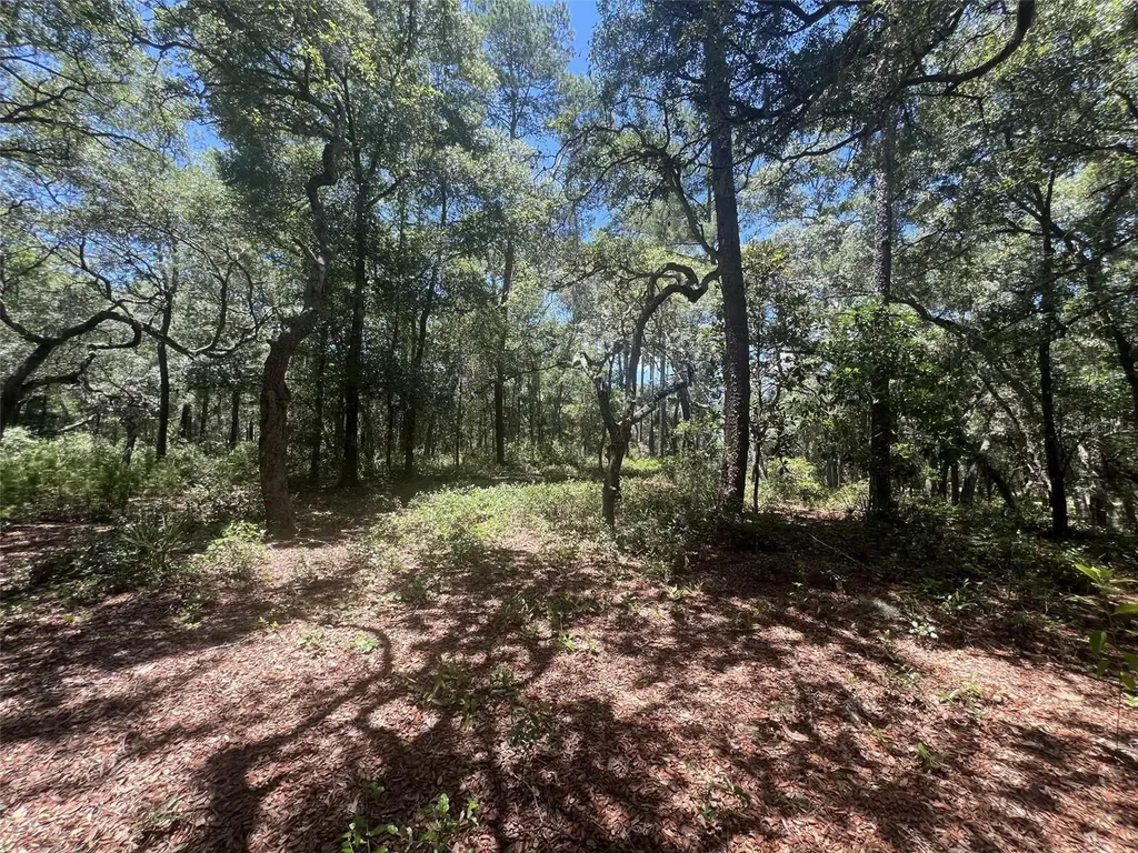 1425 Renbar Road De Leon Springs FL 32130