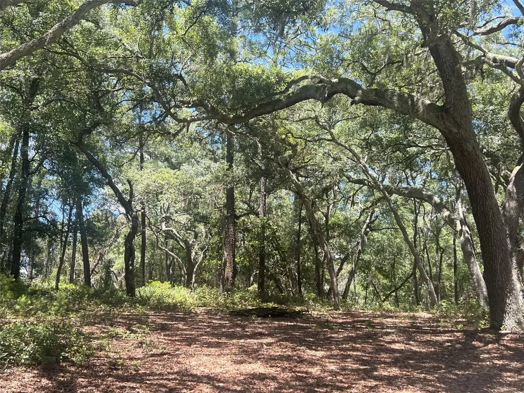 1425 Renbar Road De Leon Springs FL 32130
