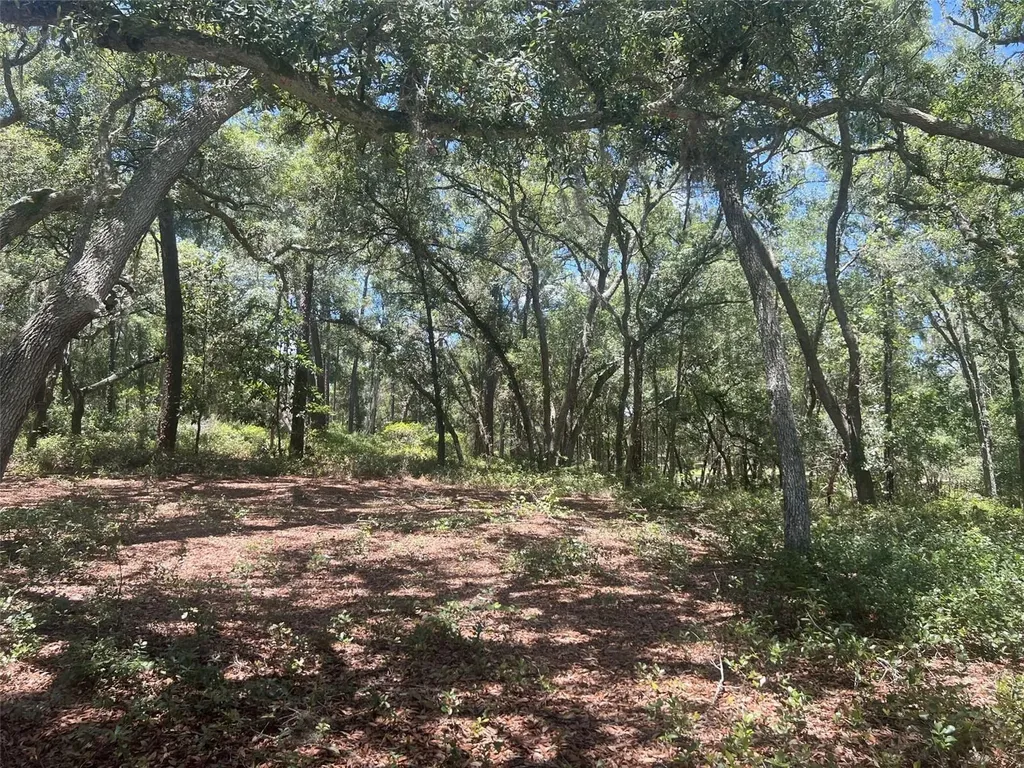 1425 Renbar Road De Leon Springs FL 32130