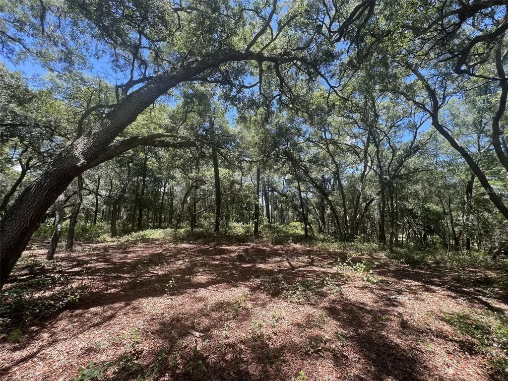 1425 Renbar Road De Leon Springs FL 32130