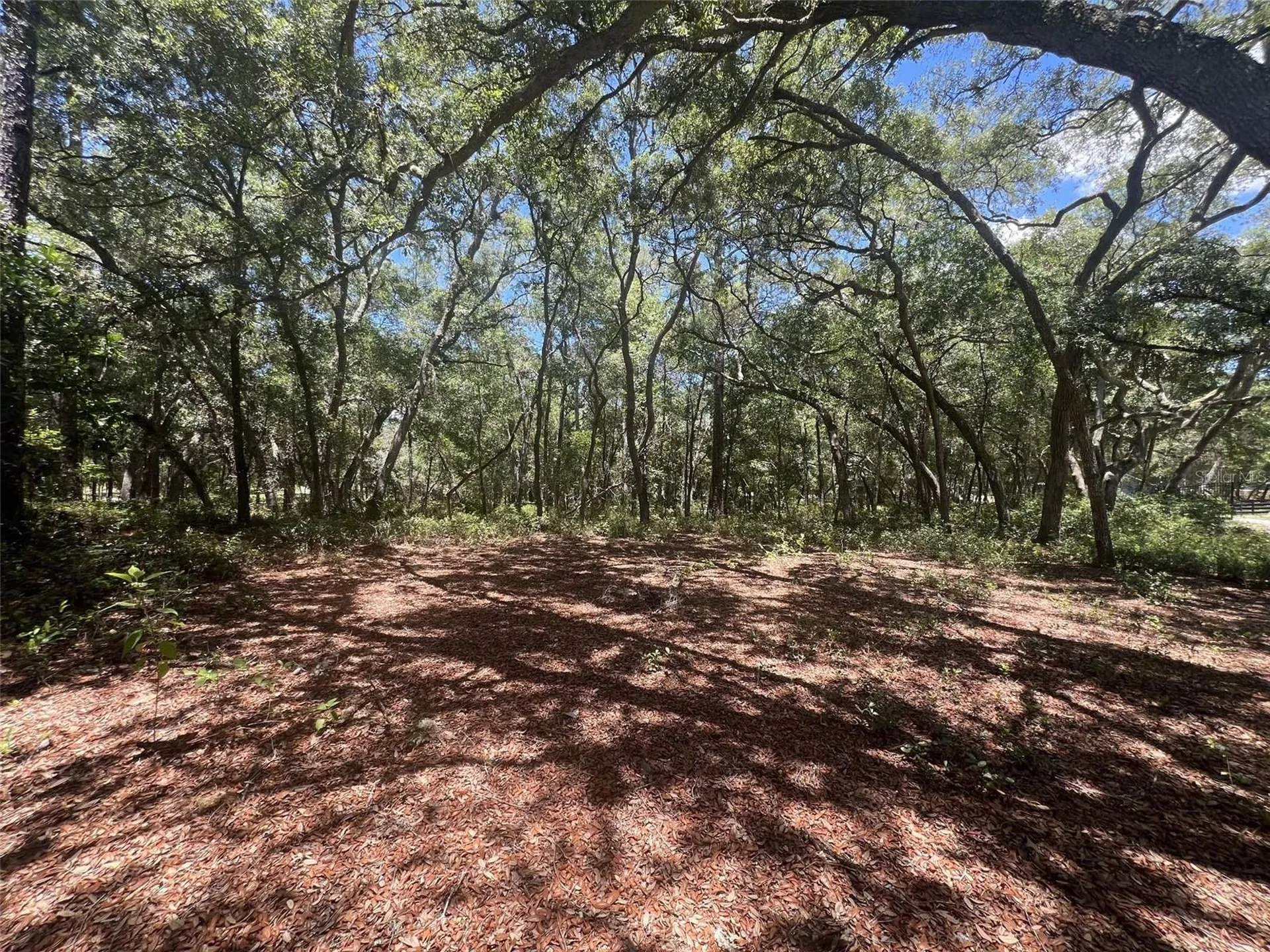 1425 Renbar Road De Leon Springs FL 32130