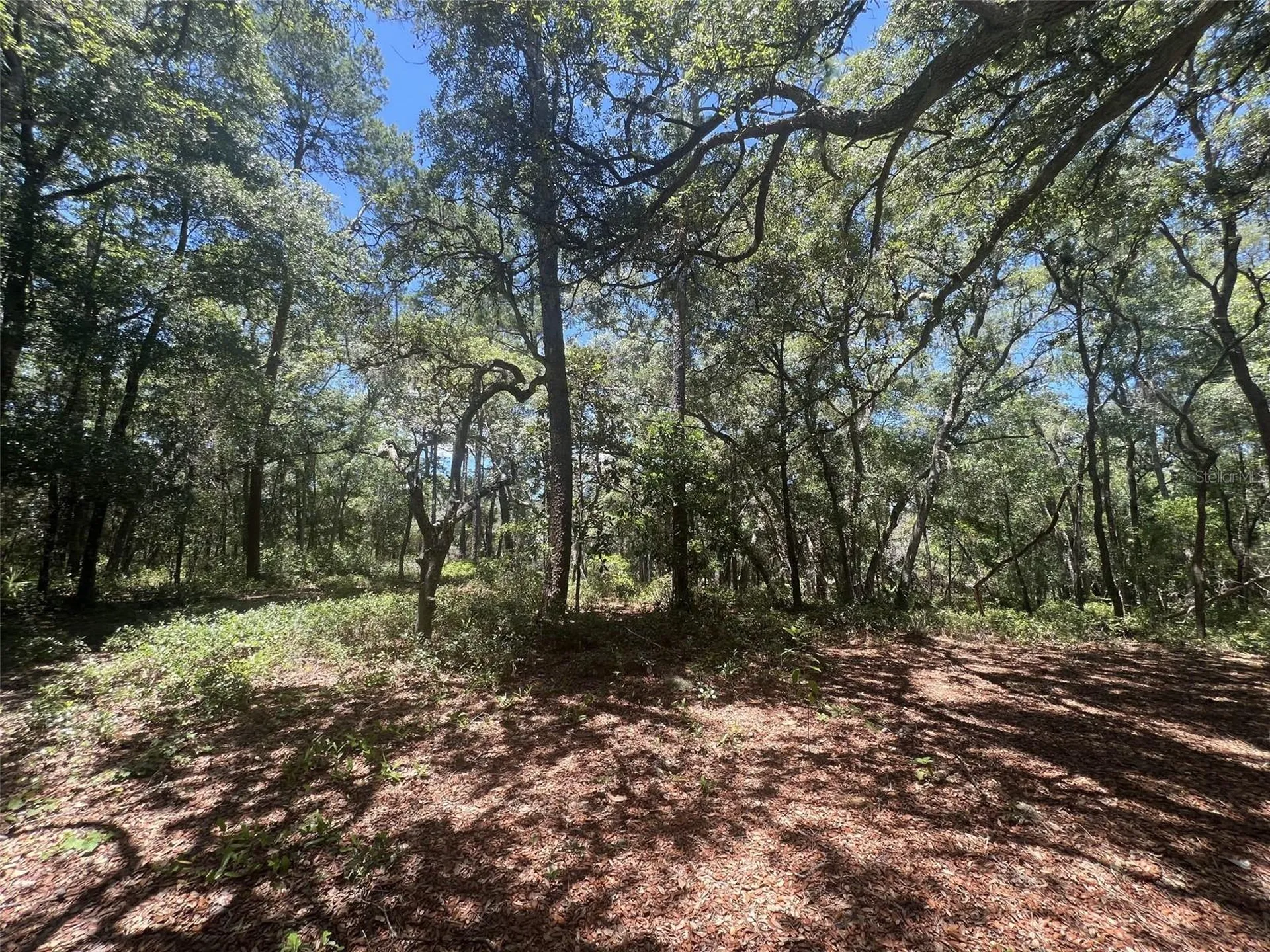 1425 Renbar Road De Leon Springs FL 32130