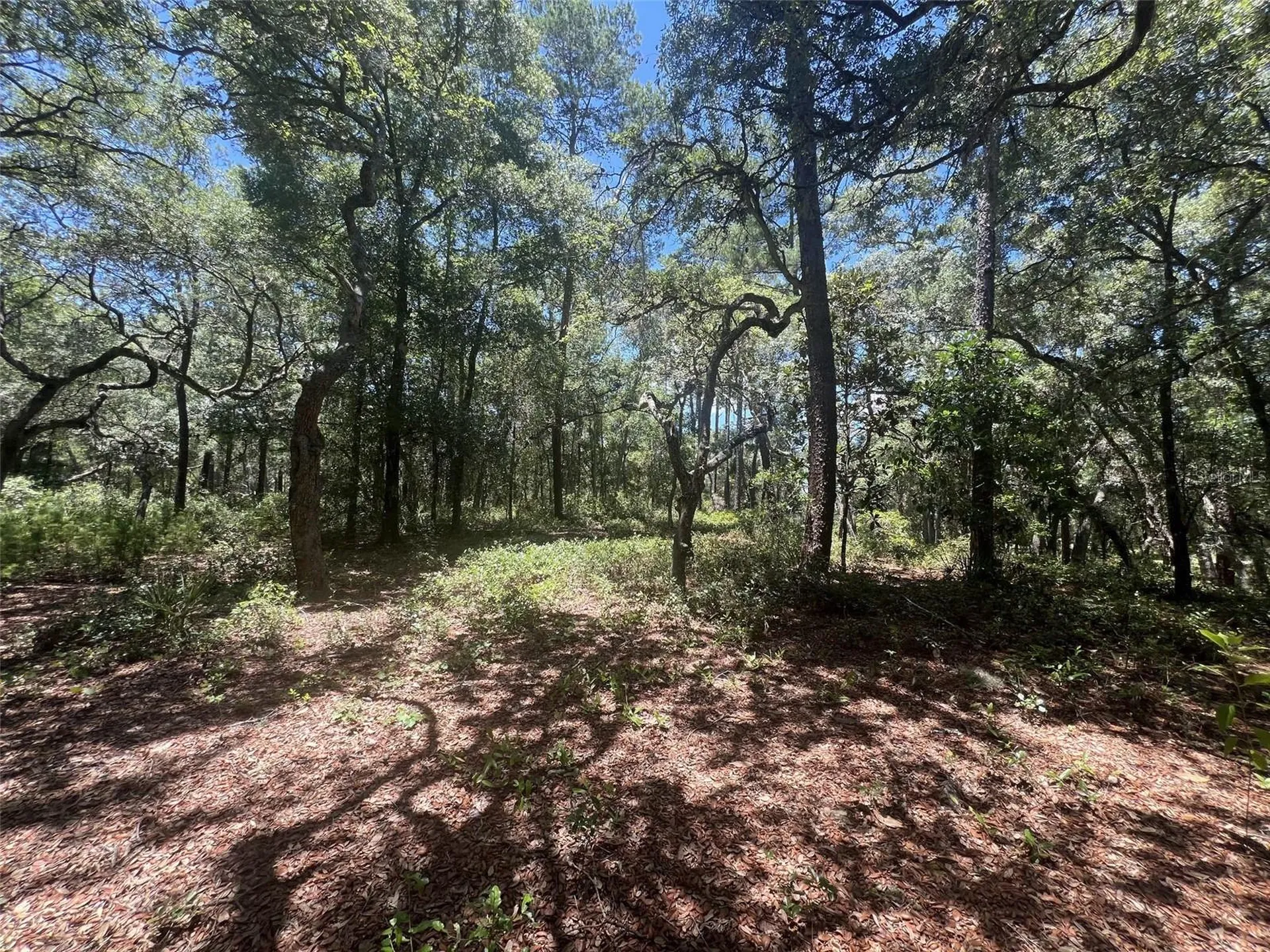 1425 Renbar Road De Leon Springs FL 32130