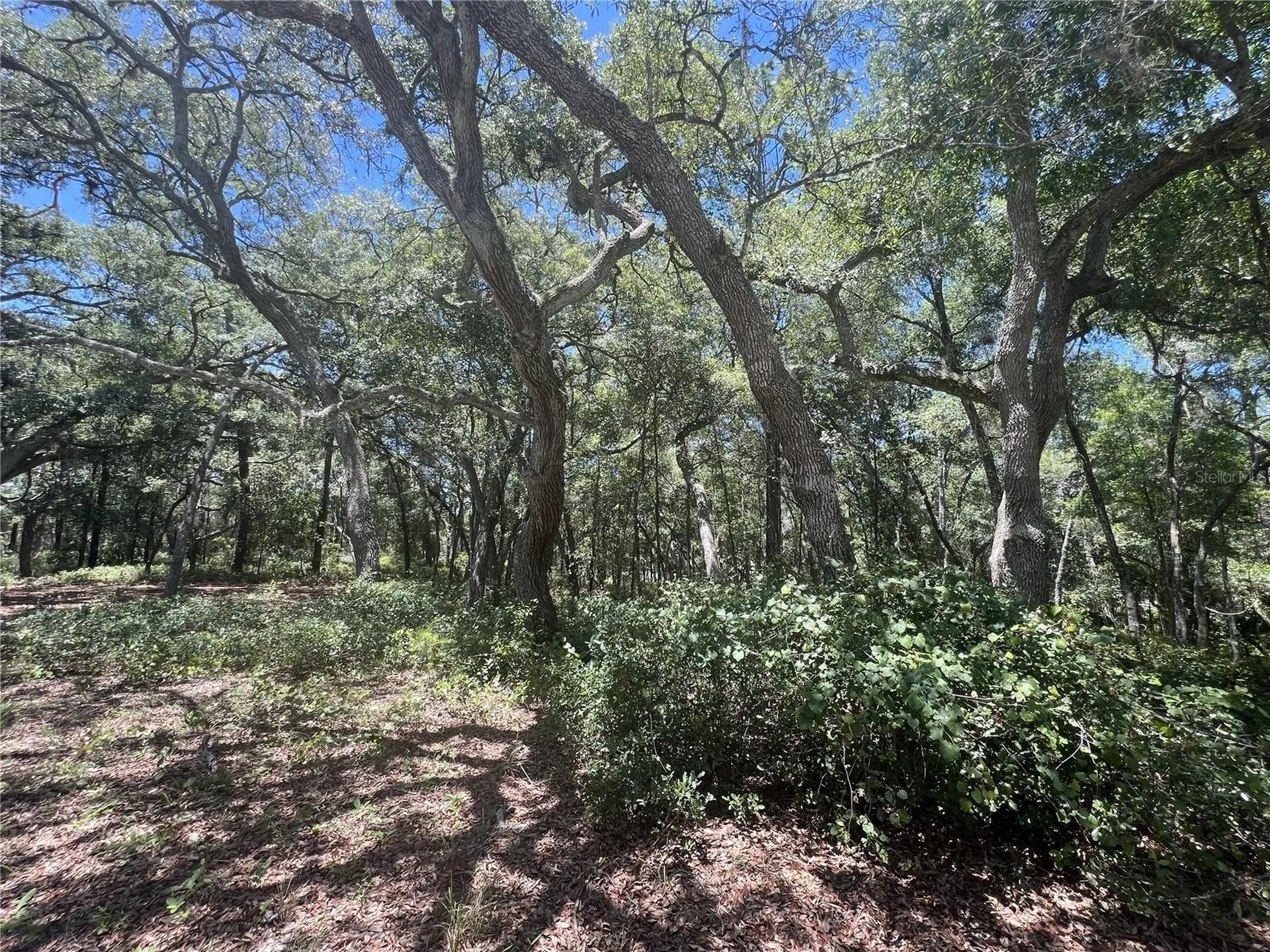 1425 Renbar Road De Leon Springs FL 32130