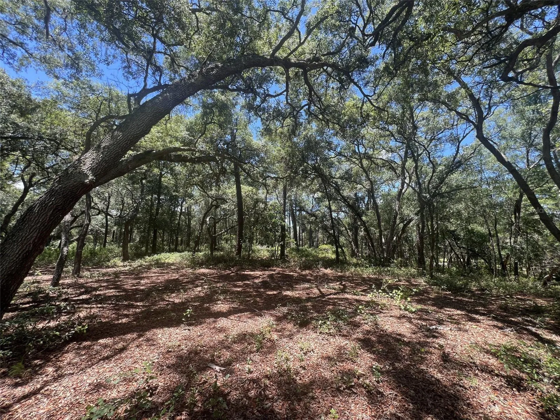 1425 Renbar Road De Leon Springs FL 32130