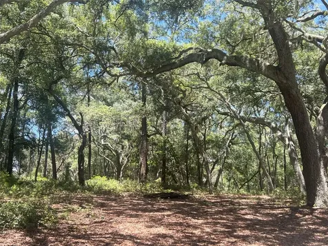 1425 Renbar Road De Leon Springs FL 32130