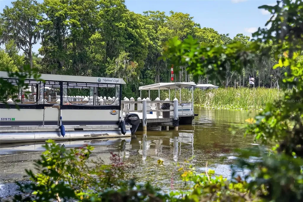 3284 Gorse Court Palm Harbor FL 34684