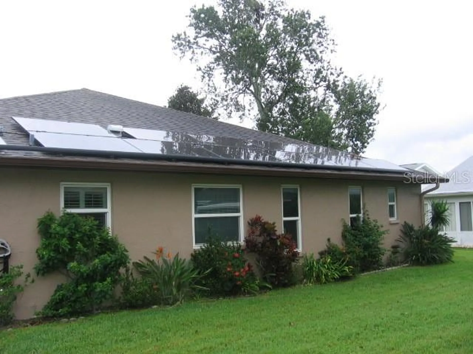 3284 Gorse Court Palm Harbor FL 34684