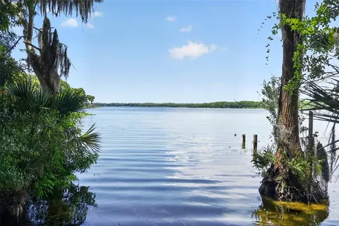 3284 Gorse Court Palm Harbor FL 34684
