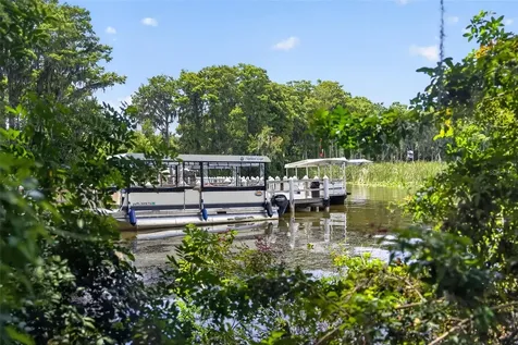 3284 Gorse Court Palm Harbor FL 34684