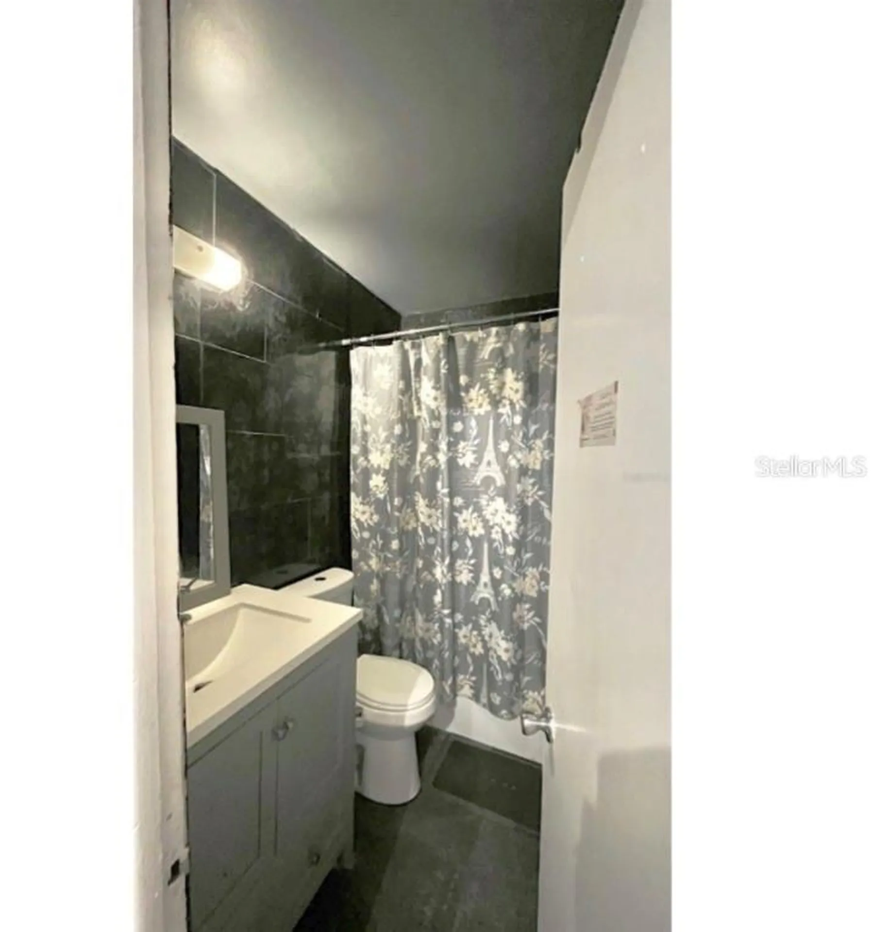 7011 Conifer Drive Tampa FL 33637