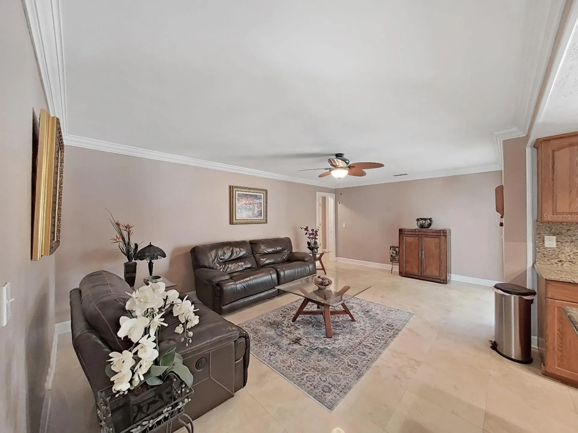 1110 Mclean Street Dunedin FL 34698