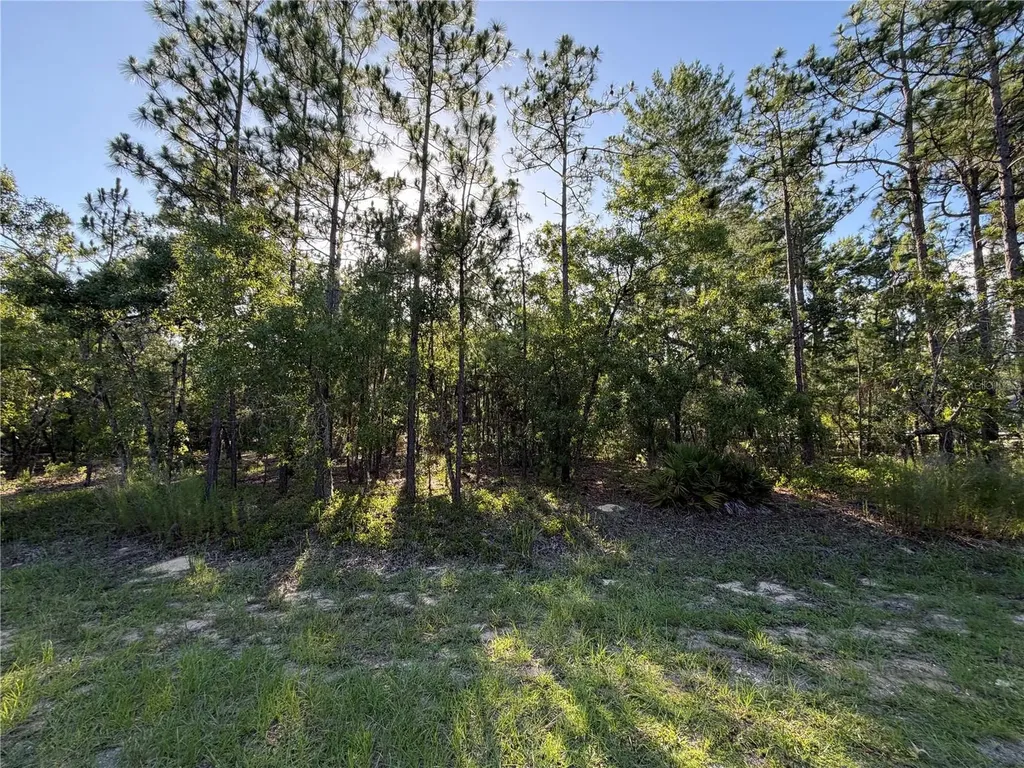 2005 Cr 243e Wildwood FL 34785