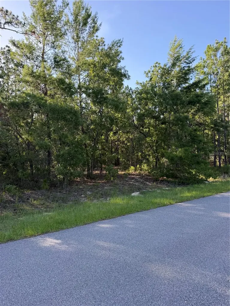 2005 Cr 243e Wildwood FL 34785