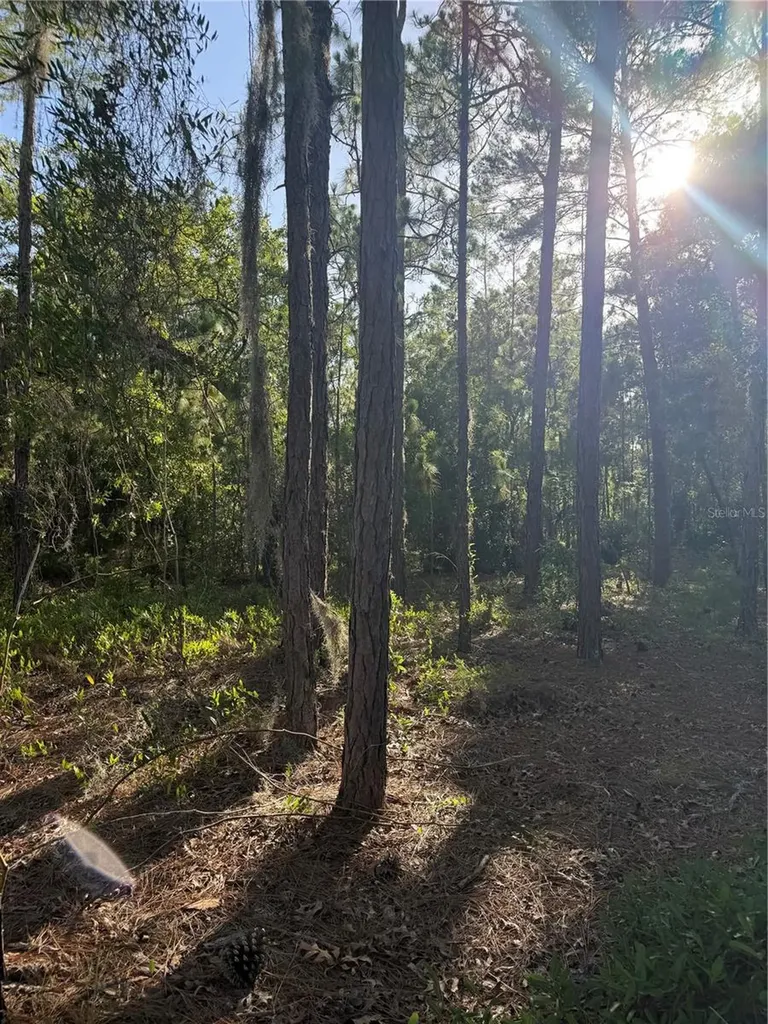 2005 Cr 243e Wildwood FL 34785
