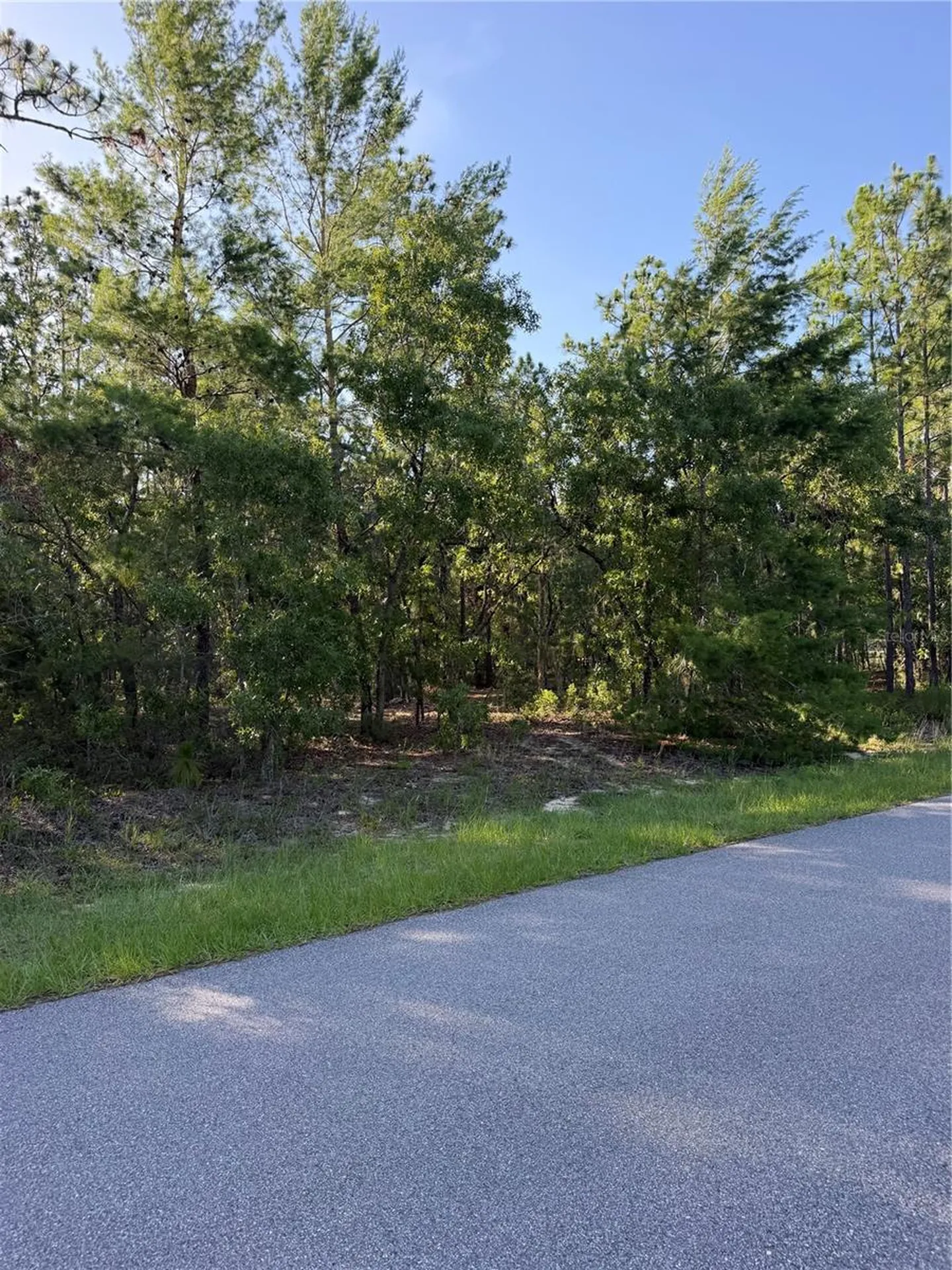 2005 Cr 243e Wildwood FL 34785