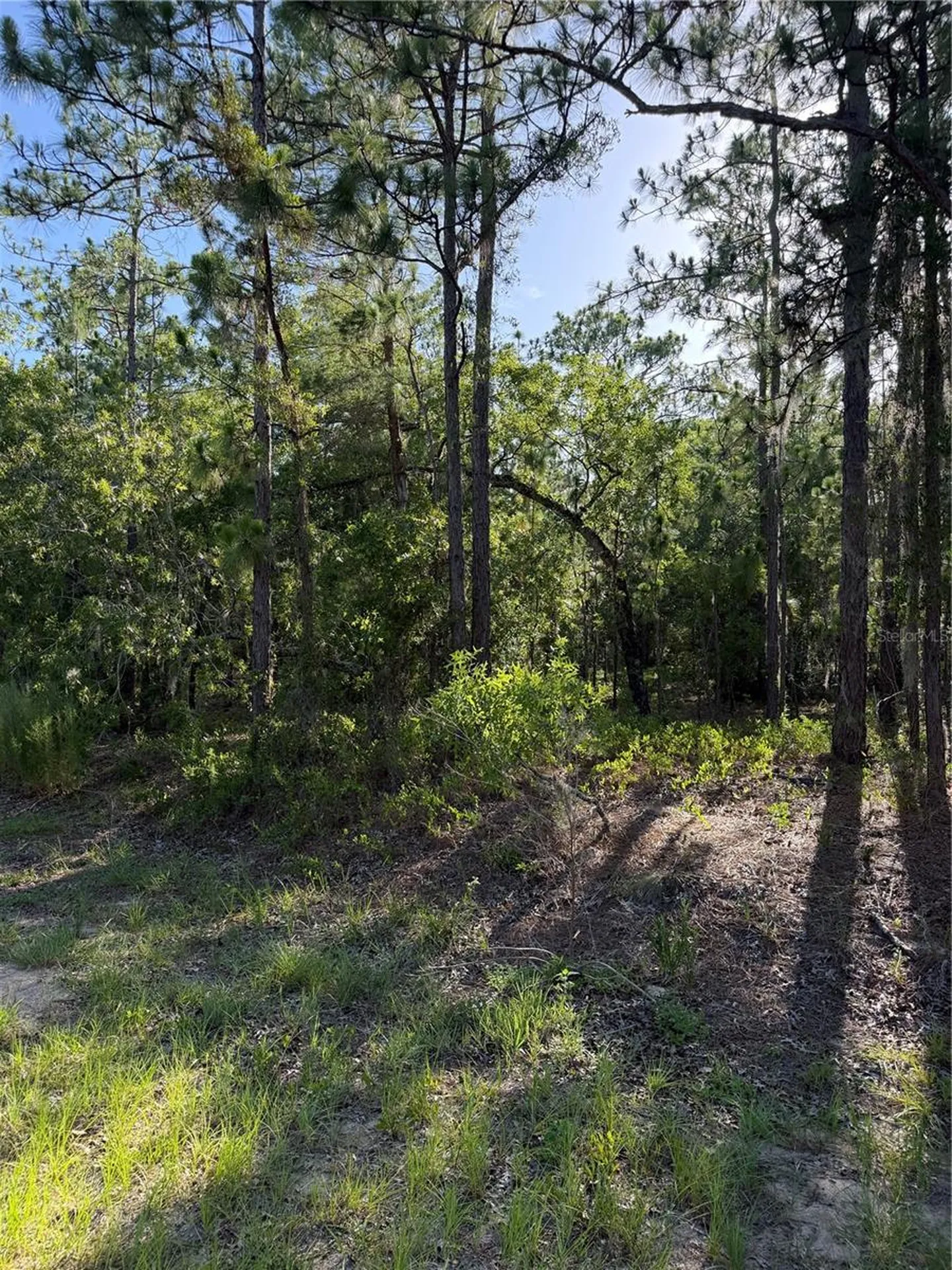 2005 Cr 243e Wildwood FL 34785