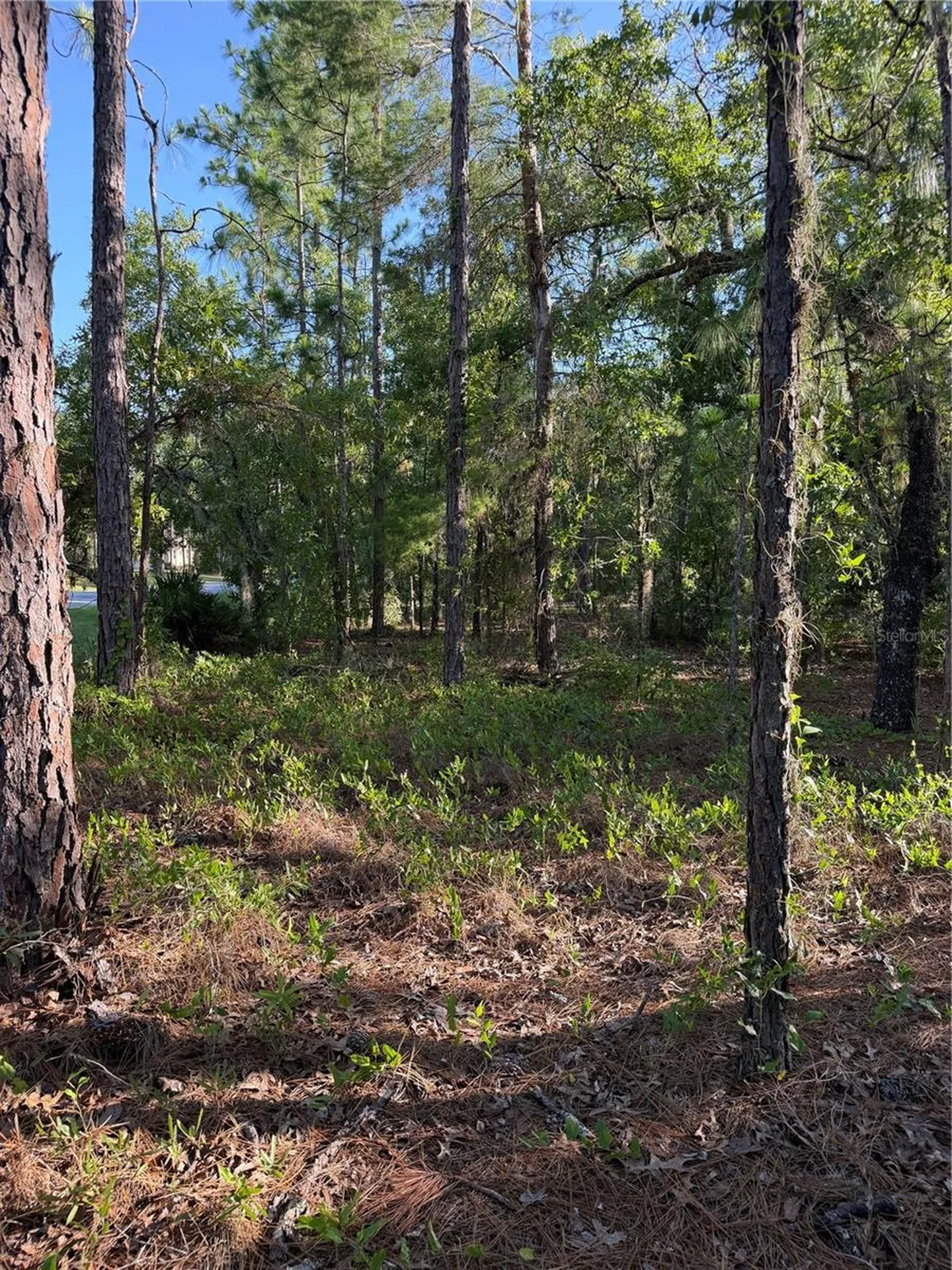 2005 Cr 243e Wildwood FL 34785