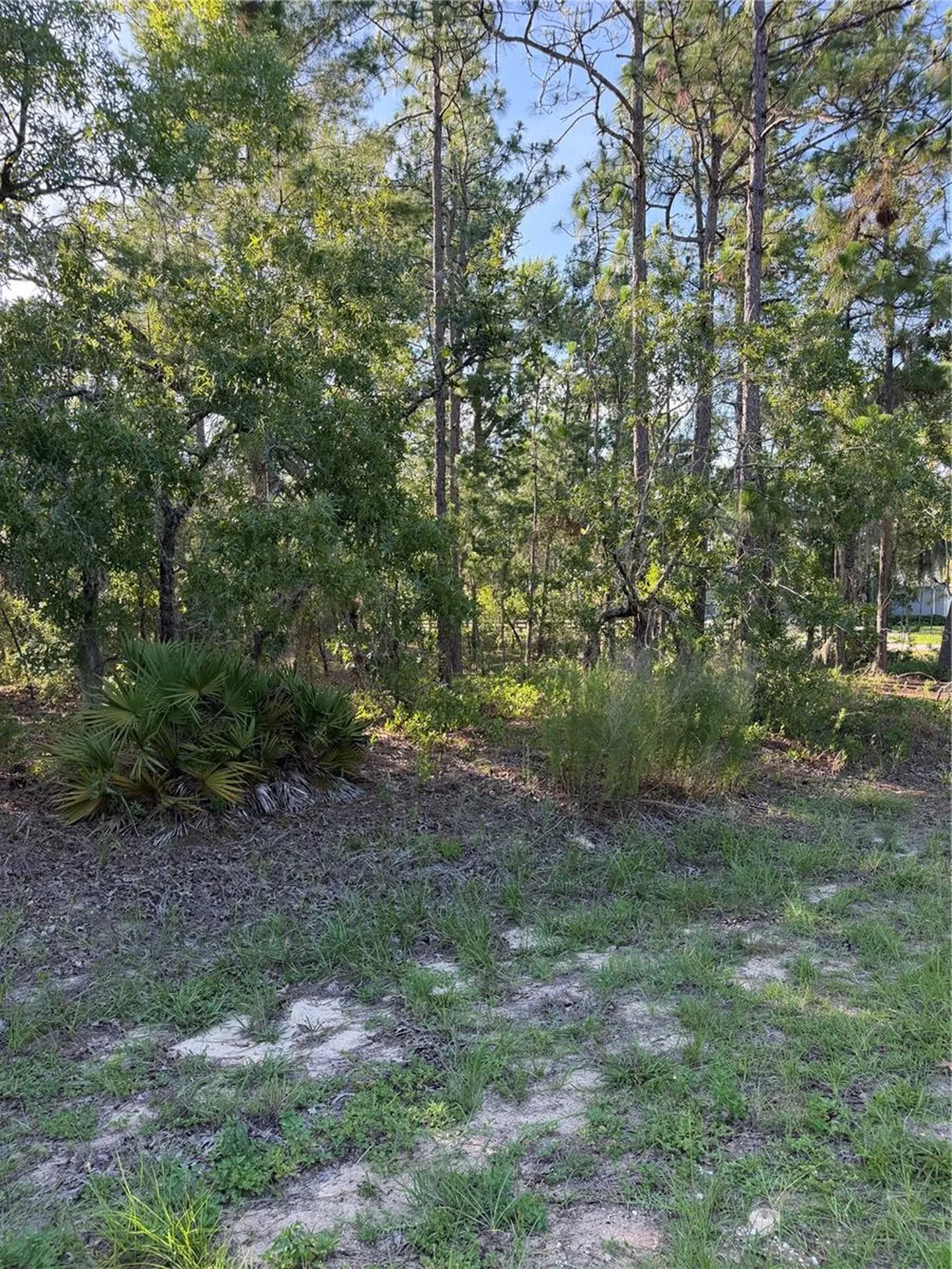 2005 Cr 243e Wildwood FL 34785