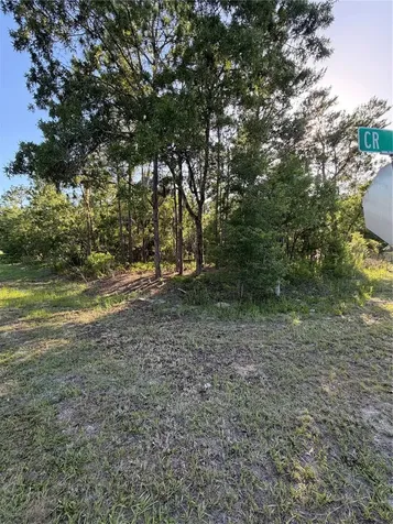 2005 Cr 243e Wildwood FL 34785