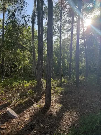 2005 Cr 243e Wildwood FL 34785