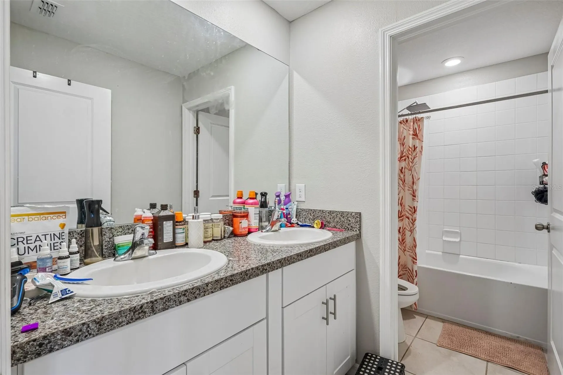 10360 Blue Plume Court Riverview FL 33578