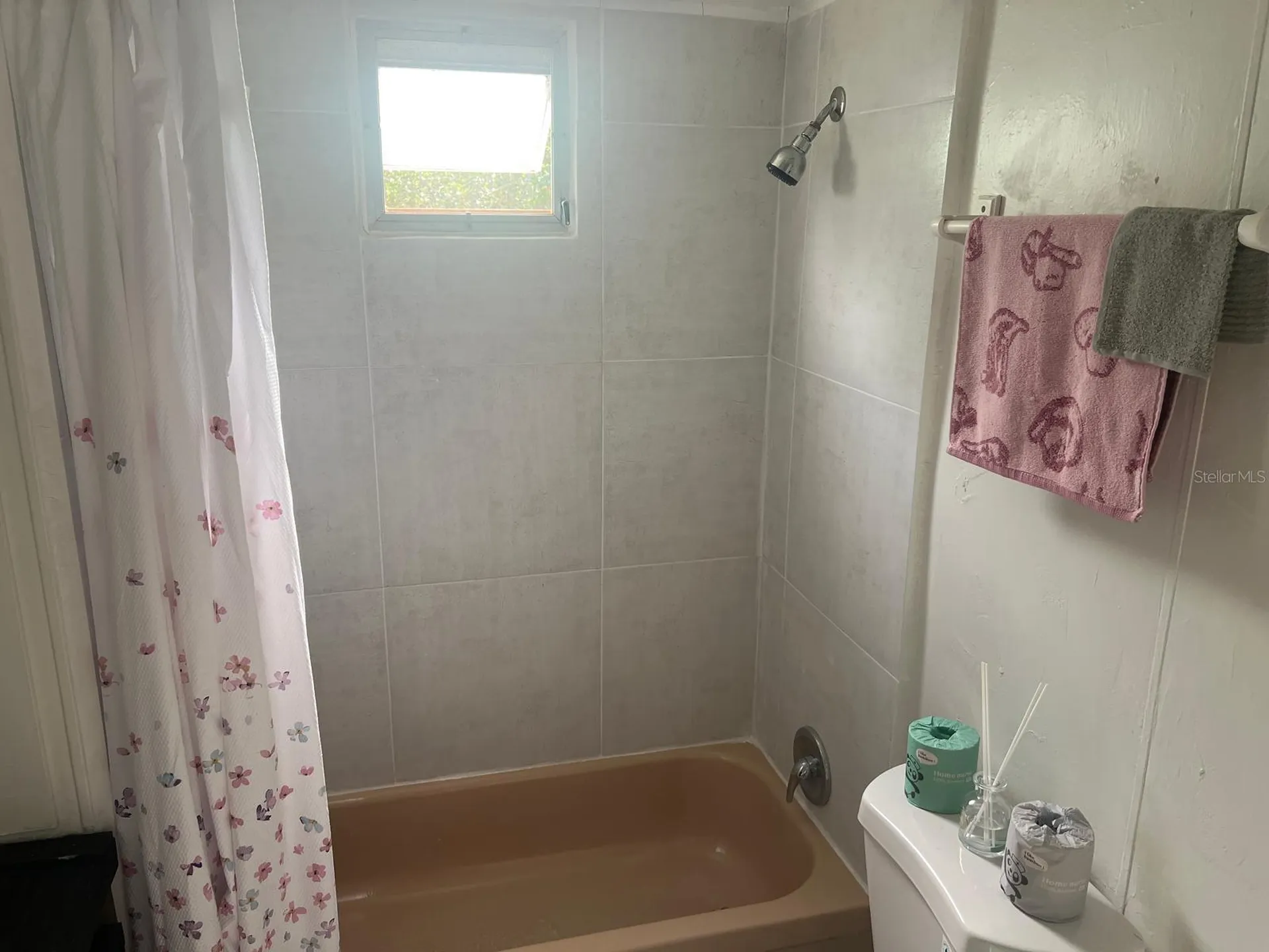 20456 SE 140th Street Umatilla FL 32784