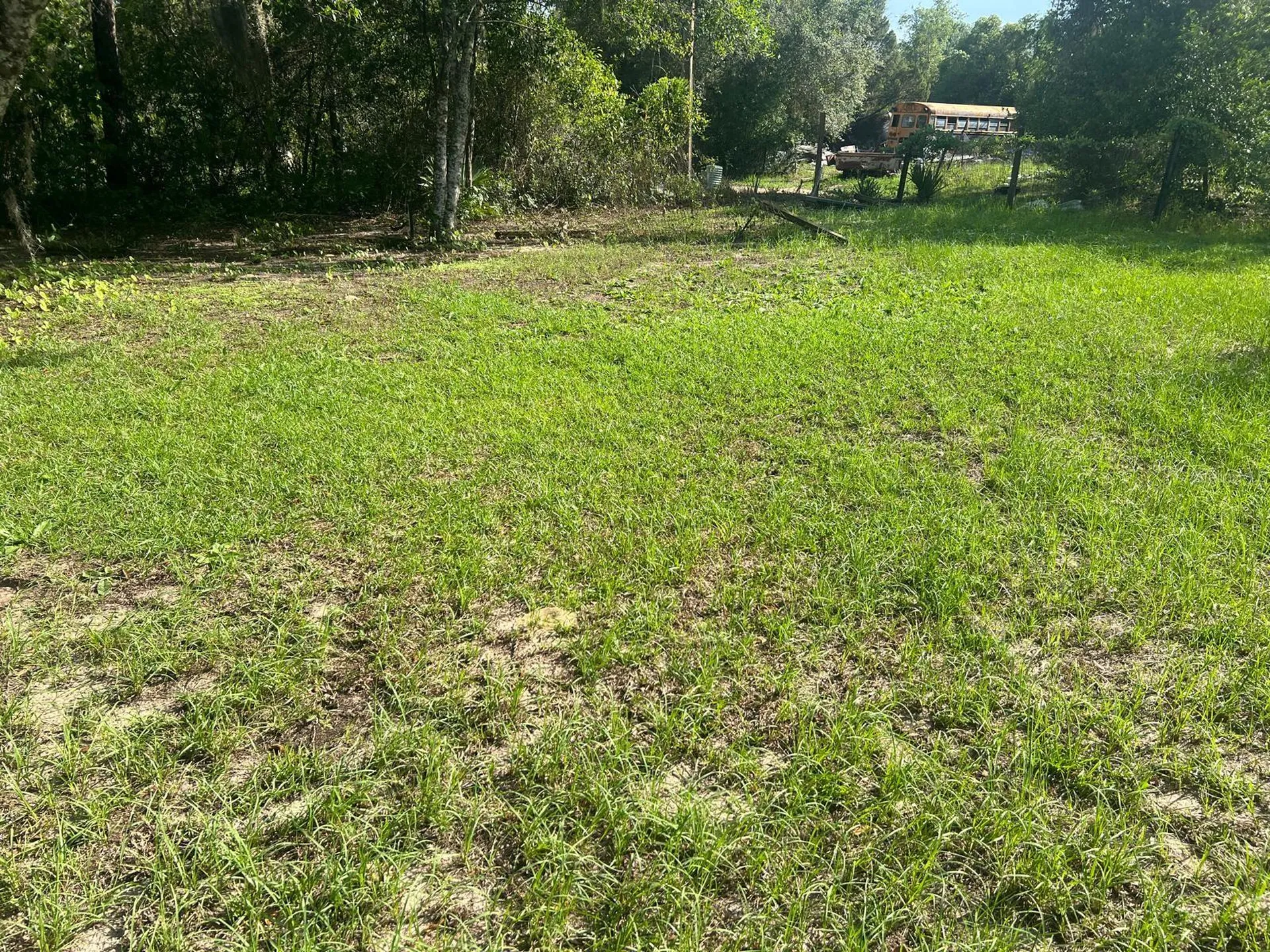 20456 SE 140th Street Umatilla FL 32784