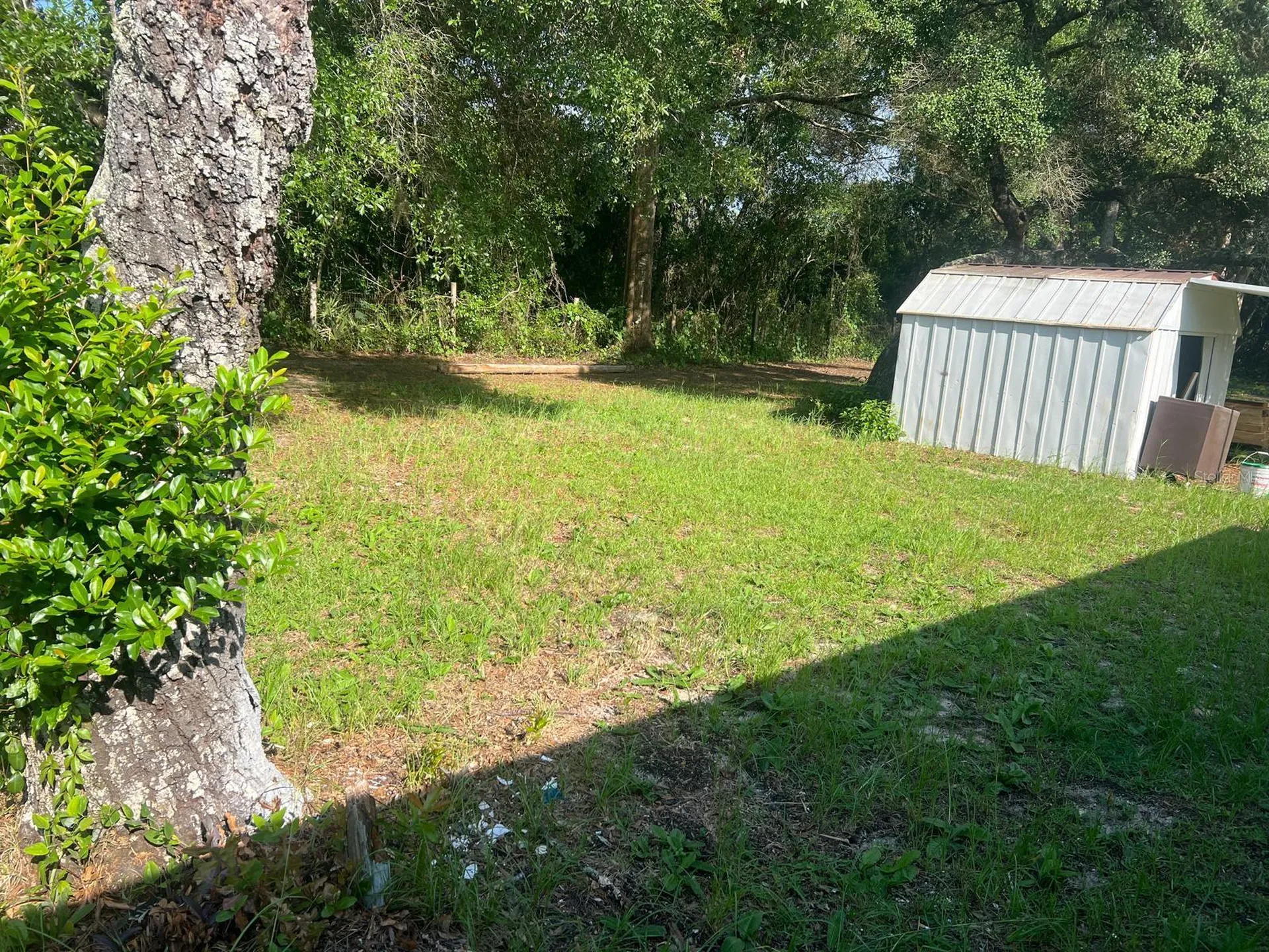 20456 SE 140th Street Umatilla FL 32784